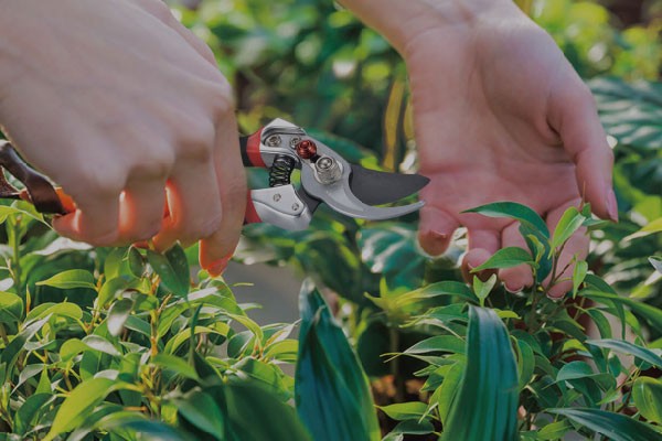 維勝特-品牌形象影片