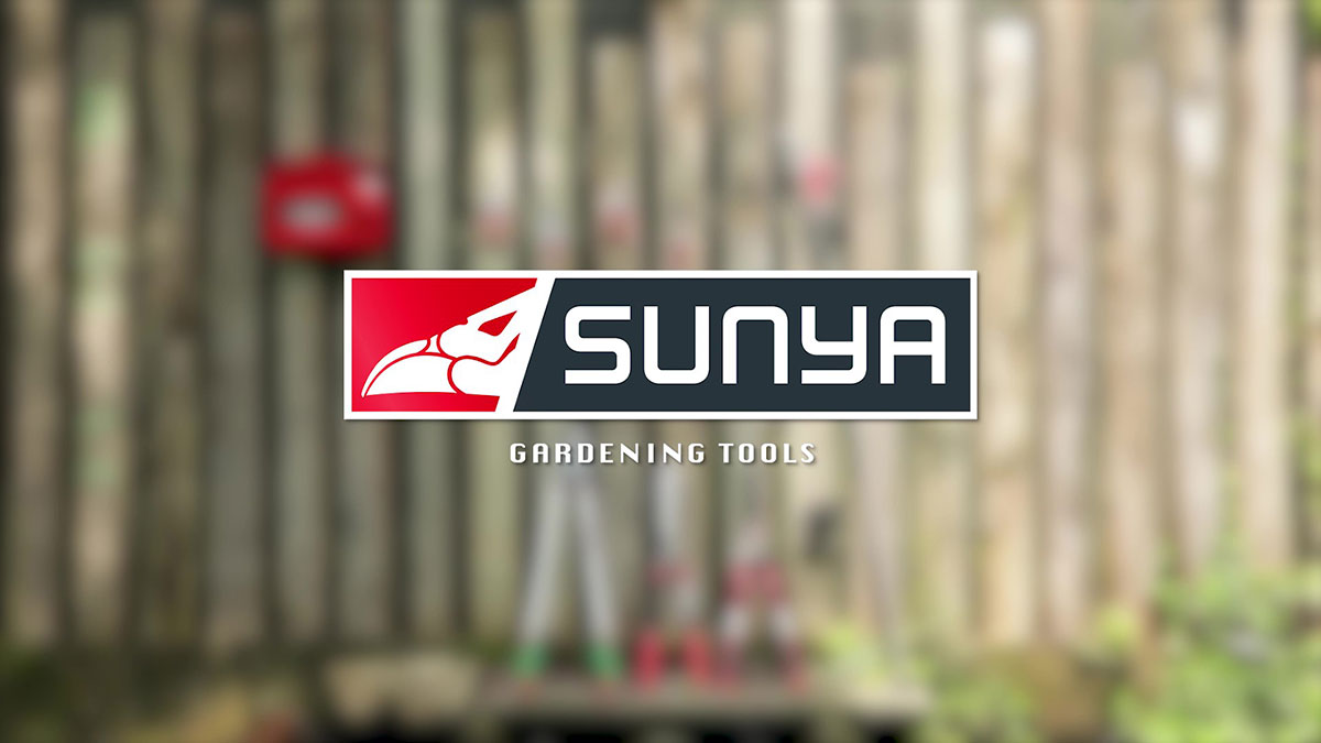 維勝特-品牌形象影片